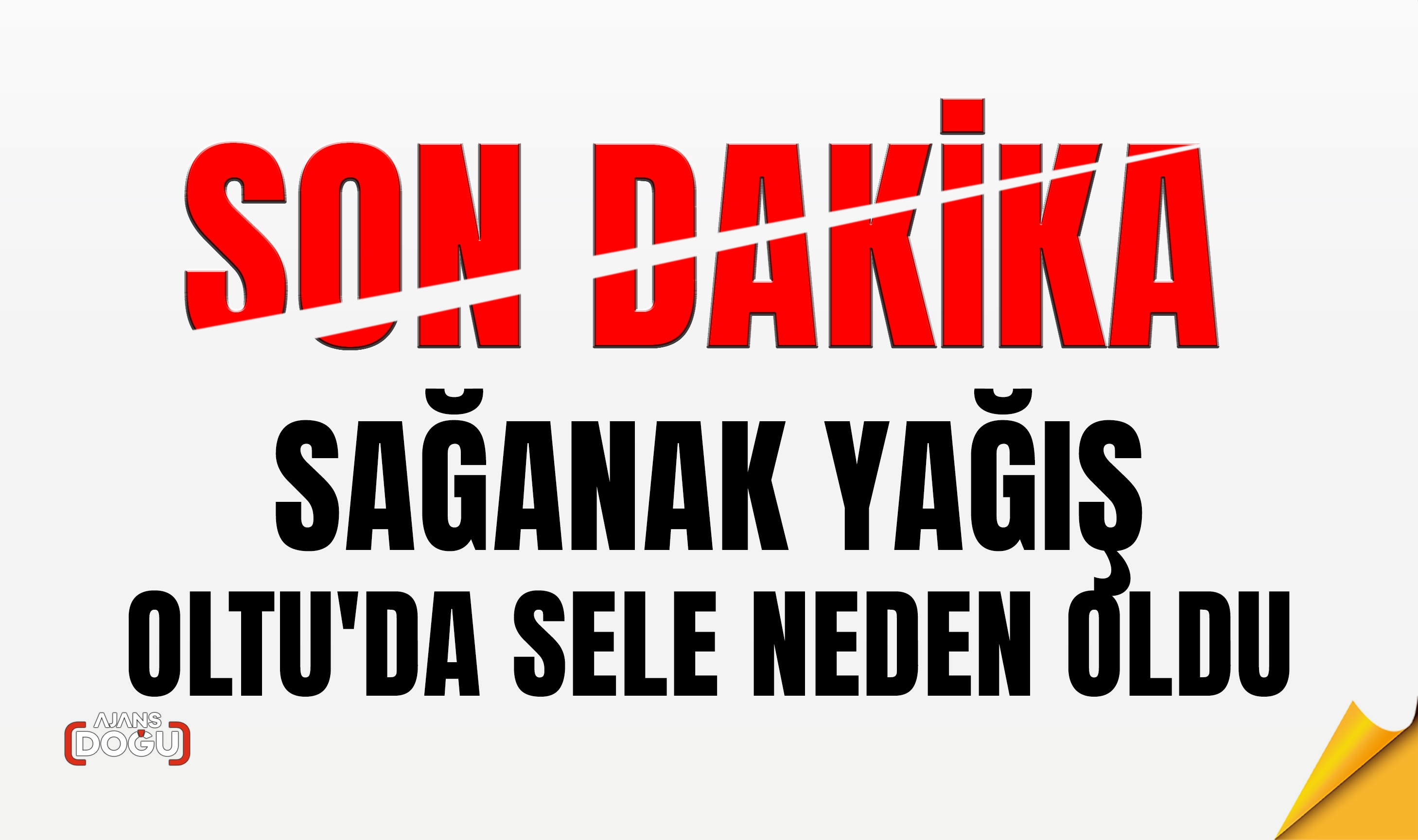 Sağanak yağış Oltu'da sele neden oldu