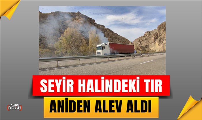 Seyir halindeki tır aniden alev aldı