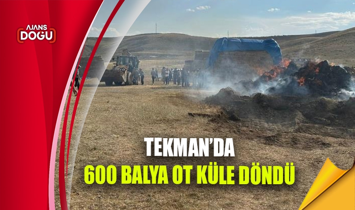 Tekman’da 600 balya ot küle döndü