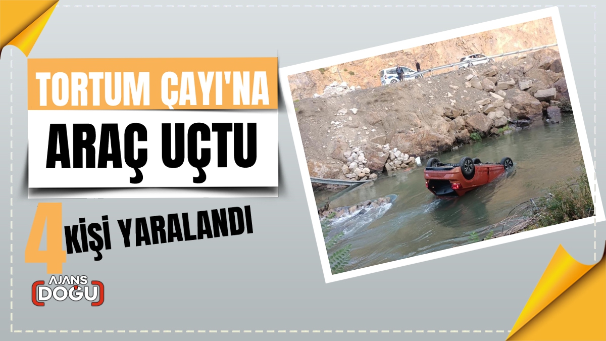 Tortum Çayı'na araç uçtu, 4 kişi yaralandı