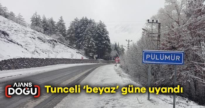 Tunceli ‘beyaz’ güne uyandı