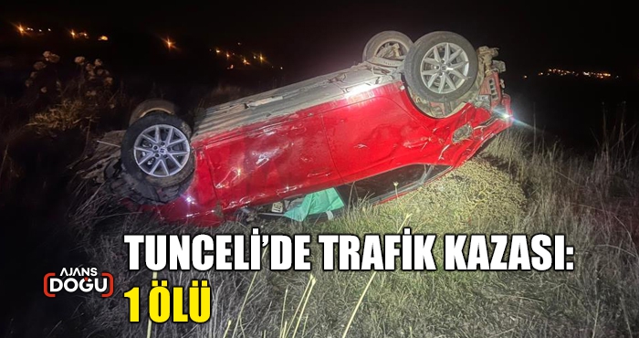 Tunceli'de trafik kazası: 1 ölü