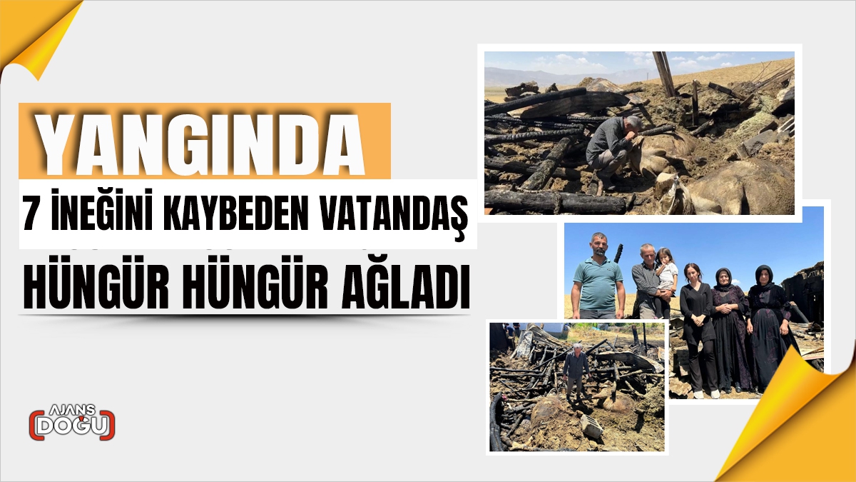 Yangında 7 ineğini kaybeden vatandaş hüngür hüngür ağladı