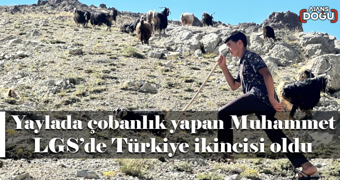 Yaylada çobanlık yapan Muhammet, LGS’de Türkiye ikincisi oldu