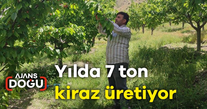 Yılda 7 ton kiraz üretiyor