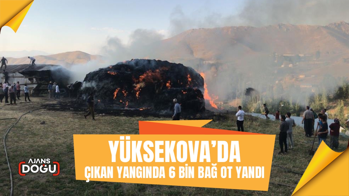 Yüksekova’da çıkan yangında 6 bin bağ ot yandı